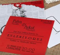İKLİM-10451