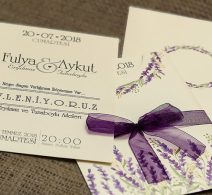 İKLİM-10473